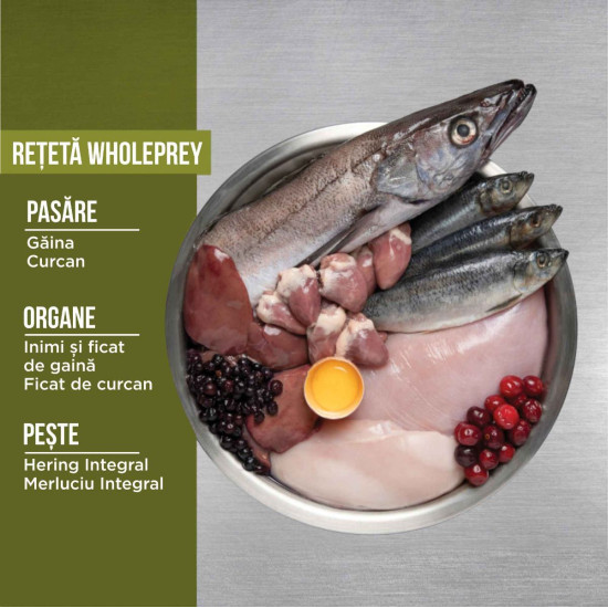 ORIJEN Senior – hrană uscată fără cereale pentru câini vârstnici, 11,4 kg